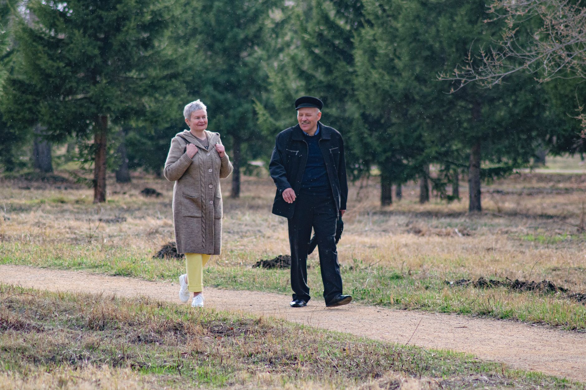 Choosing the Right Path: Medicare Advantage vs. Supplemental Insurance - gr8medicaresolutions