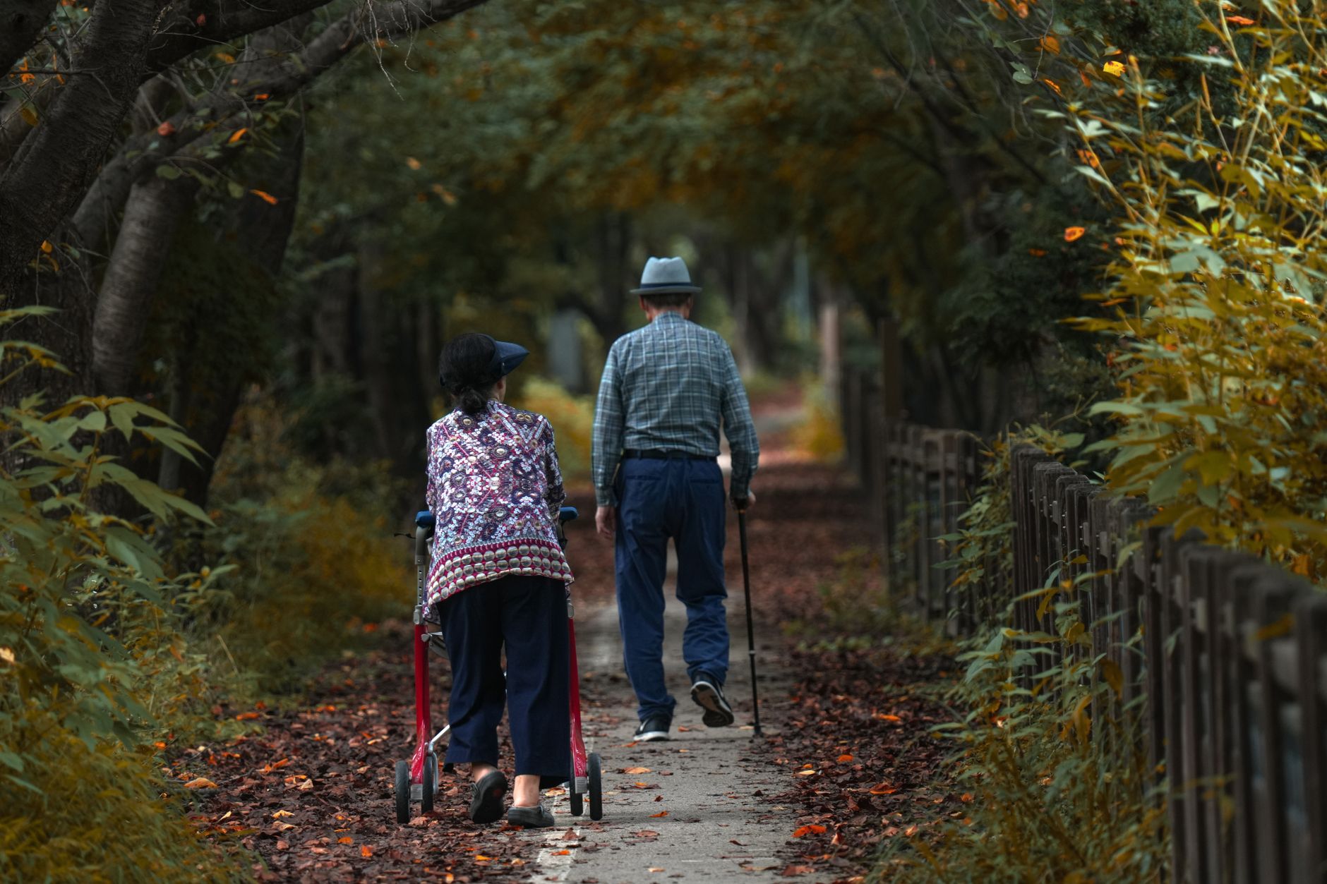Asian elderly couple strolling through a serene autumn forest path, enjoying nature's beauty.