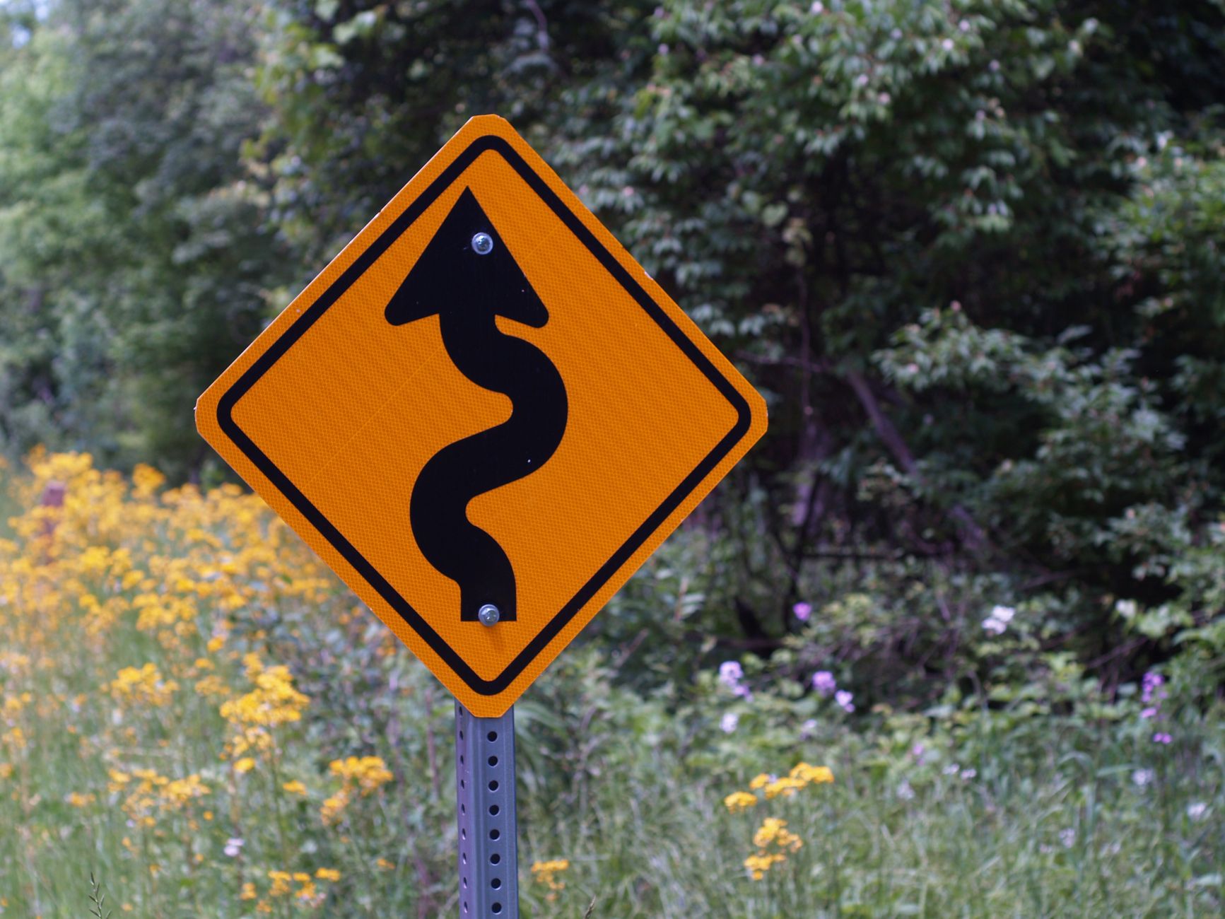 Staying Ahead of the Curve: Preparing for Your Medicare Future - gr8medicaresolutions